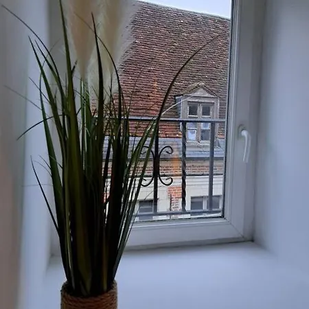 Confortable Rénové Apartman