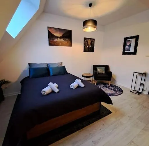 Confortable Renove Apartment *