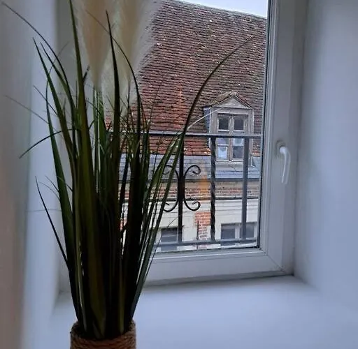 Confortable Renove Apartment